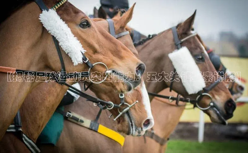 欧陆注册官方如流【揭秘足球运动员突出能力：五大关键要素详解】