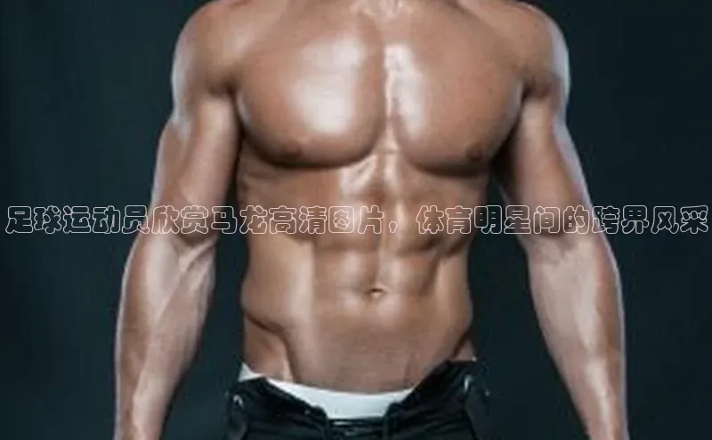 欧陆注册平台登录入口极氪智能科技足球运动员欣赏马龙高清图片，体育明星间的跨界风采