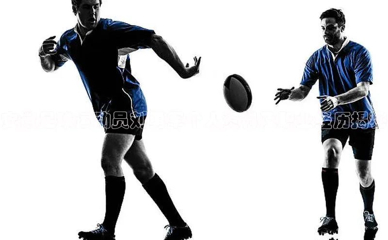 欧陆app登录百度营销中心安徽足球运动员刘勇军个人资料及职业经历揭秘