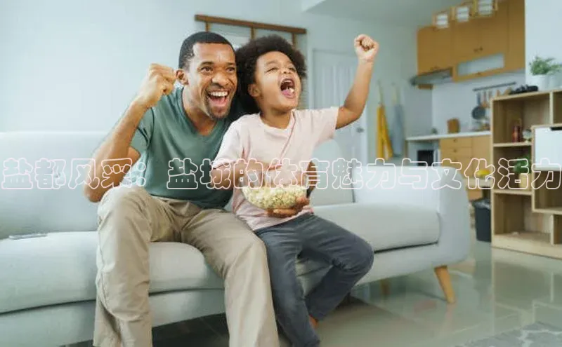 欧陆注册手机版百度网盘企业版盐都风采：盐城的体育魅力与文化活力