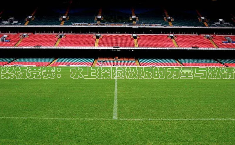 桨板竞赛：水上探险极限的力量与激情