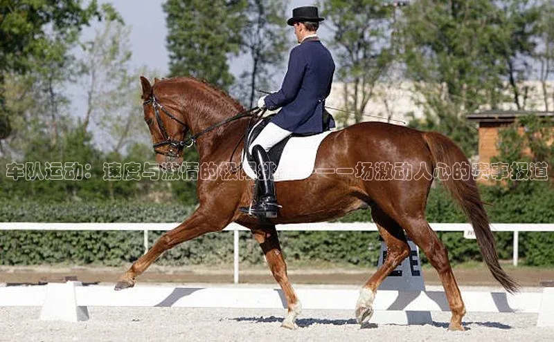 车队运动：速度与激情的极限挑战——一场激动人心的赛事报道