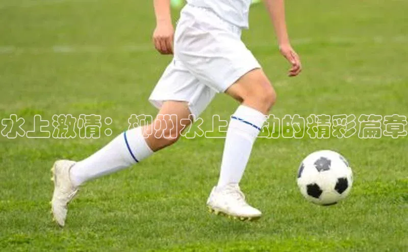 水上激情：柳州水上运动的精彩篇章