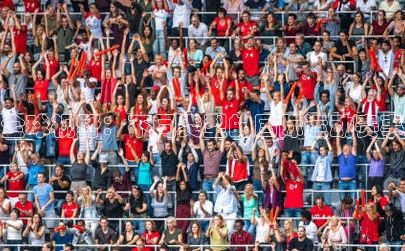 全球视野：不同类型的国际运动赛事