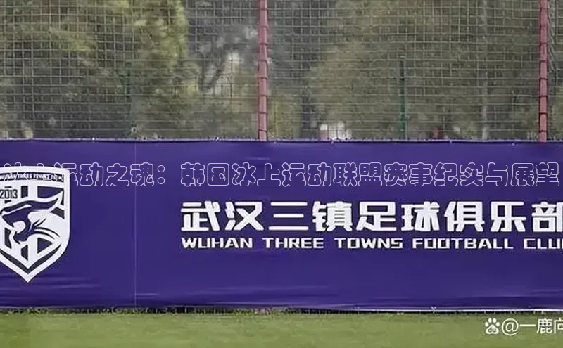 冰上运动之魂：韩国冰上运动联盟赛事纪实与展望