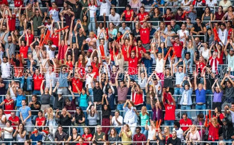 驾驭激情与策略：运动赛事导演的卓越视角