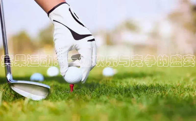 宾果运动：一场欢乐与竞争的盛宴