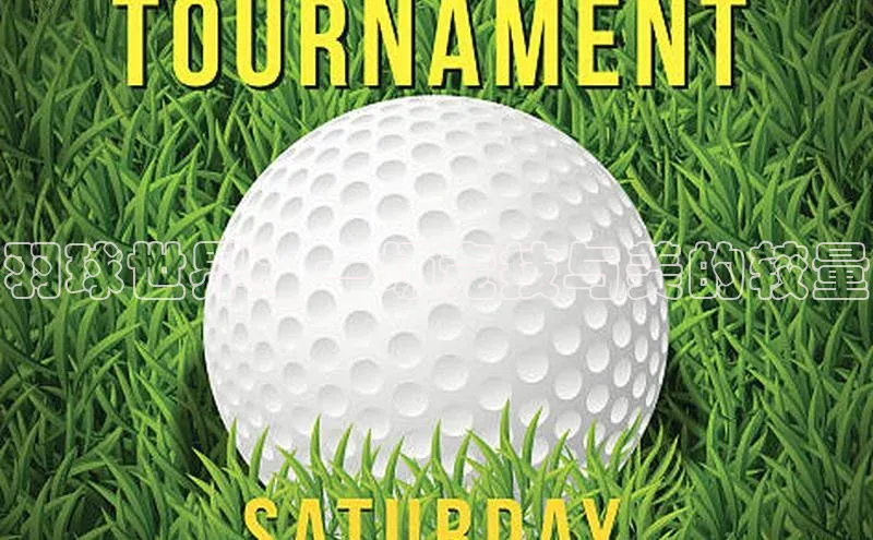 羽球世界：一场竞技与美的较量