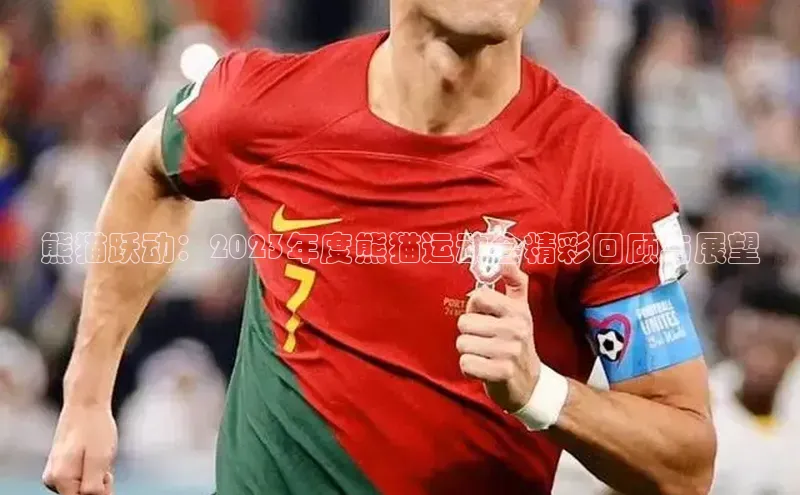 熊猫跃动：2023年度熊猫运动会精彩回顾与展望