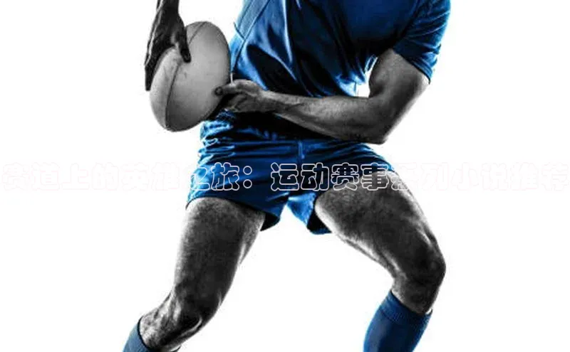 赛道上的英雄之旅：运动赛事系列小说推荐