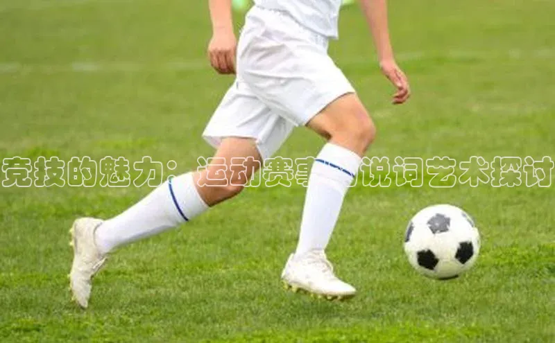 竞技的魅力：运动赛事的说词艺术探讨